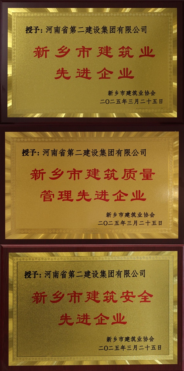 完美（中国）官方奖牌拼图.jpg